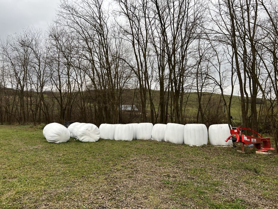 Vand baloti de otava, fan si ghizdei