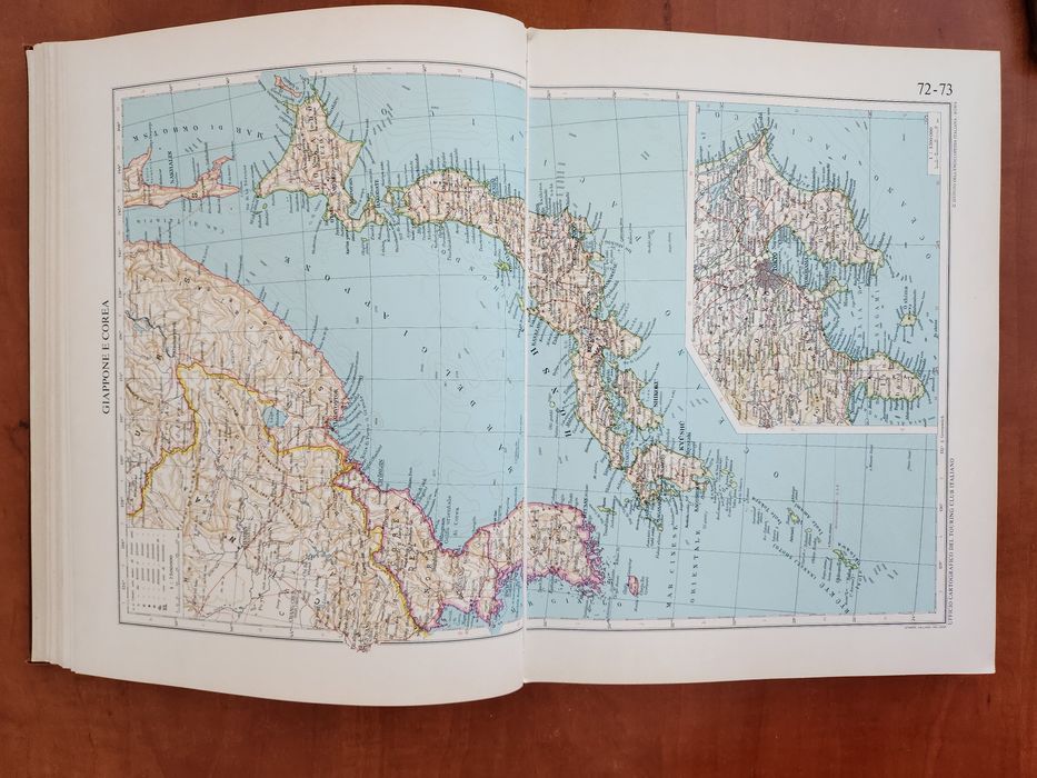 Dicționar enciclopedic Italian, 1973.