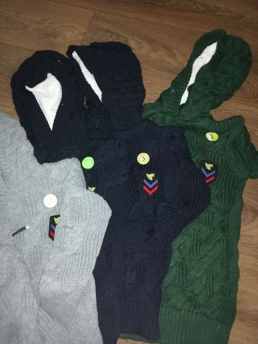Bluzoane lacoste