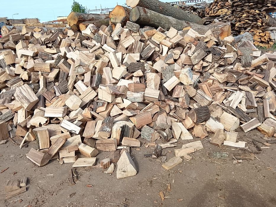 Vând lemne crăpate esență tare fag la preț convenabil