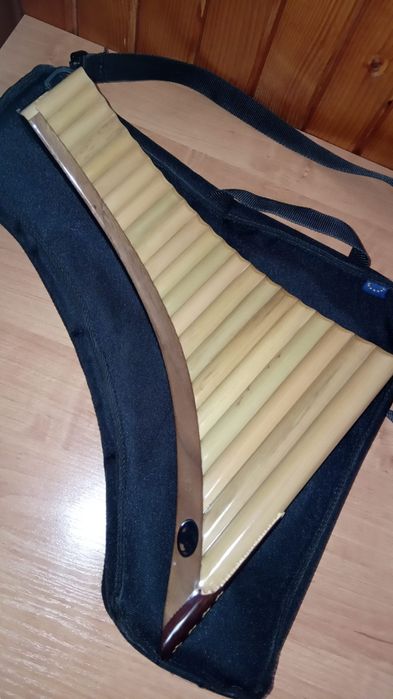 Nai preda, impecabil cu husă inclusă.