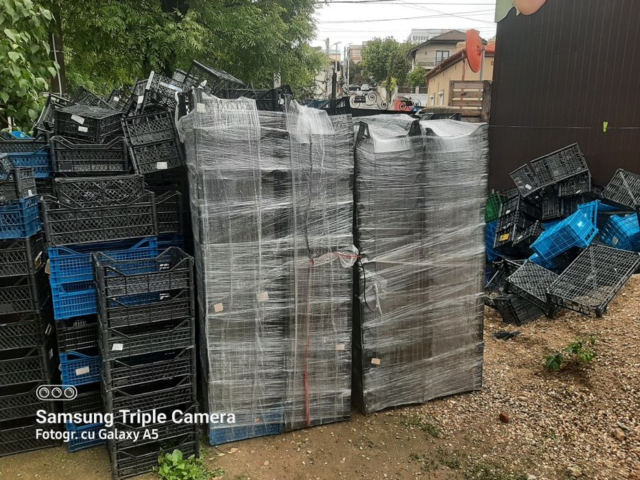 Vând lădițe de plastic