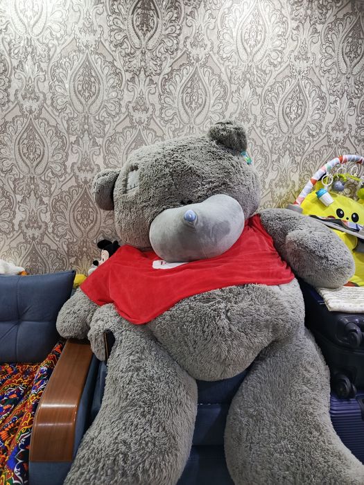 Teddy eng kotasi