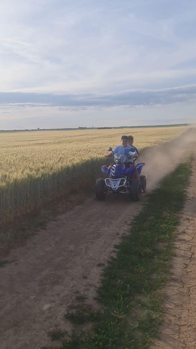 Vand atv bashan 250