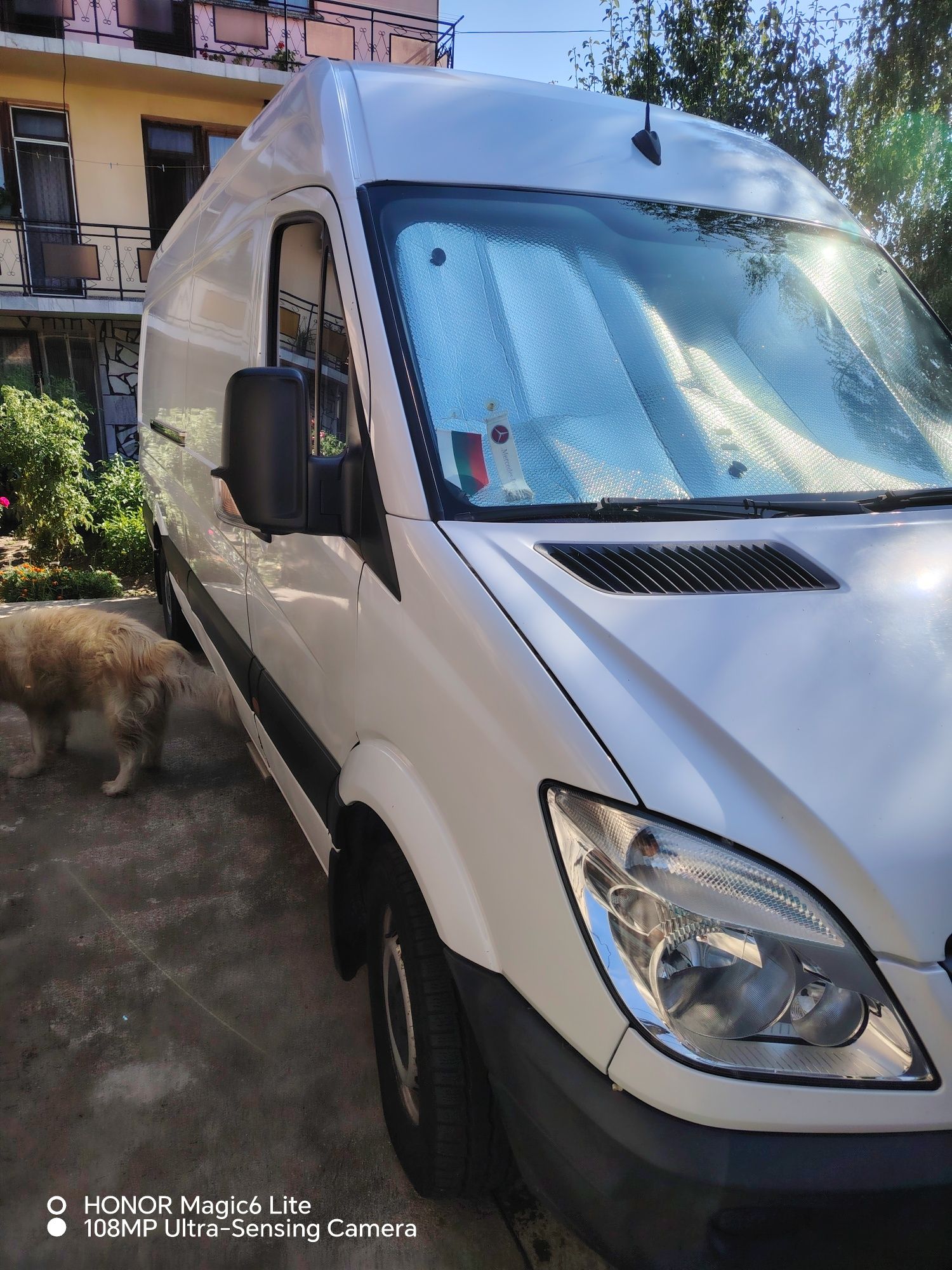 mercedes benz 313 cdi sprinter