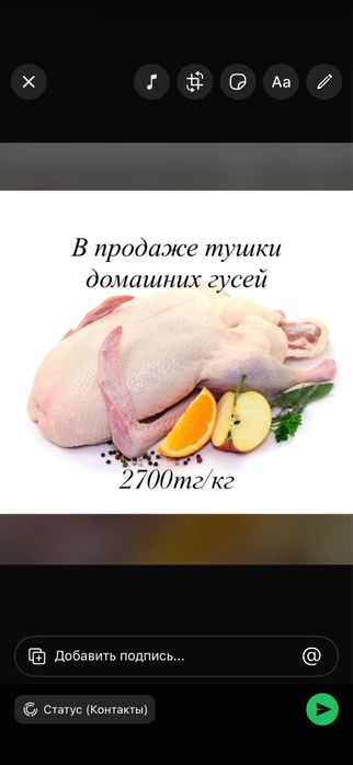 Тушки домашних гусей