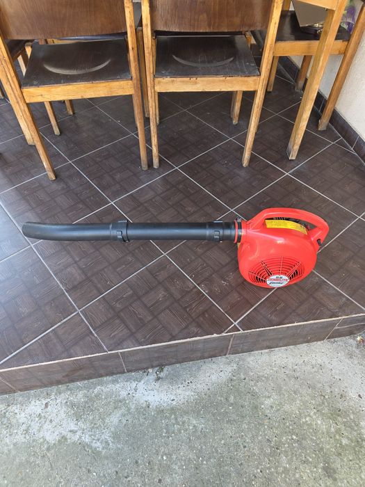 Suflanta frunze Homelite USA