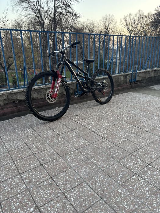 YT Capra 2023 Custom