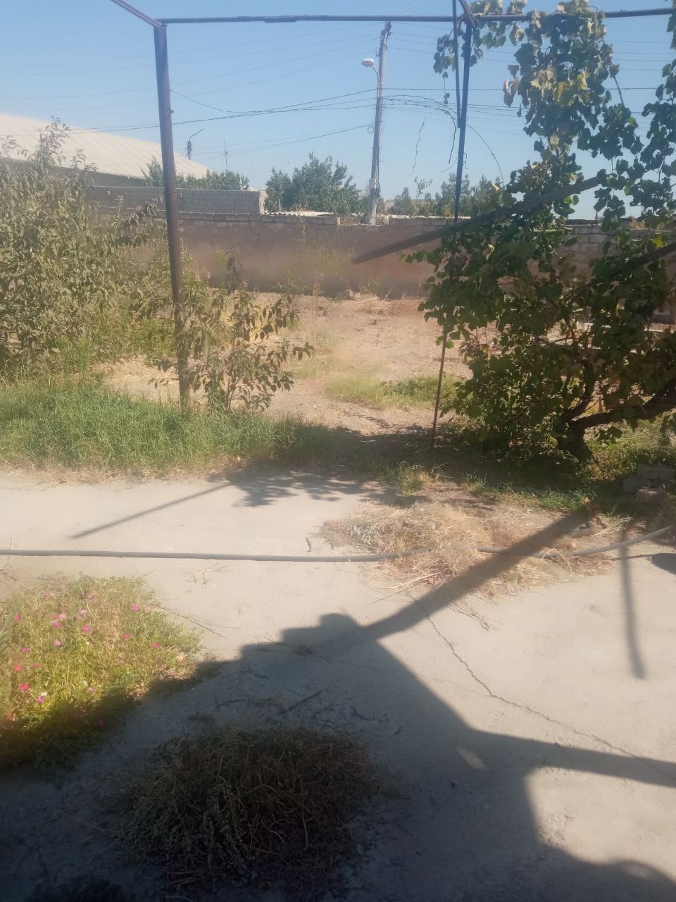 Binokorda yer narxida xovli sotiladi 7.5 sotox