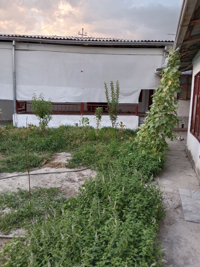 Sergeli, Yengi hayot hovli joy.
