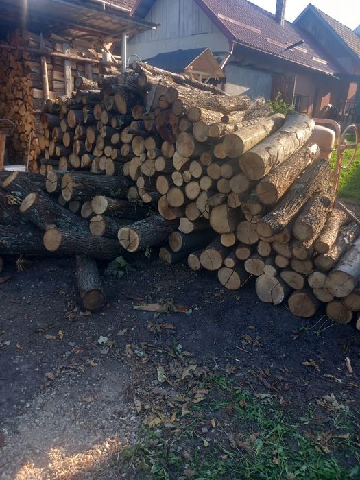 Lemne esență  tare