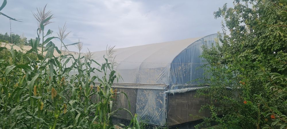 Иссикхона сотилади.