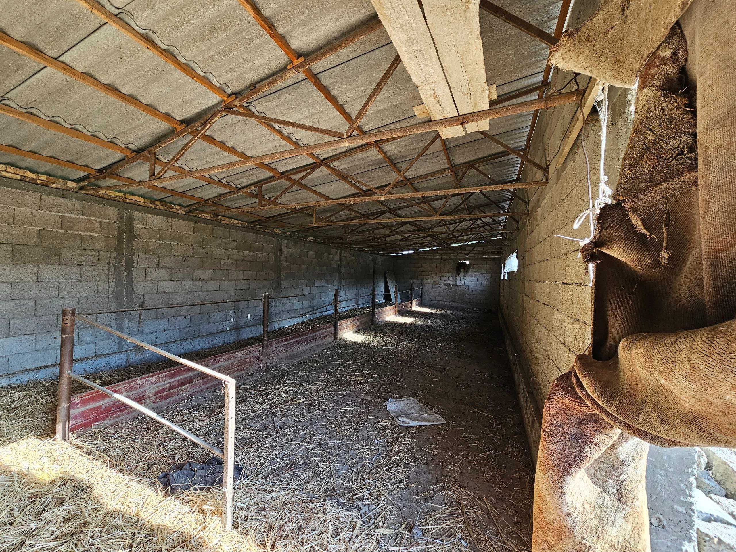 Buxoro viloyati, Vobkent tumanida Molxona binosi sotiladi
