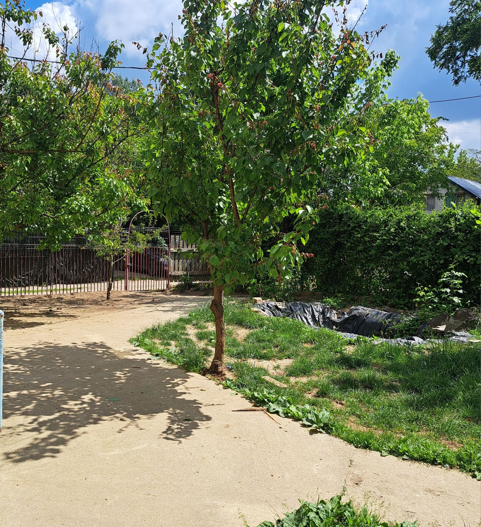 Casă de vacanță deosebită de vânzare – 3 Insule, Arad | 425 mp teren |
