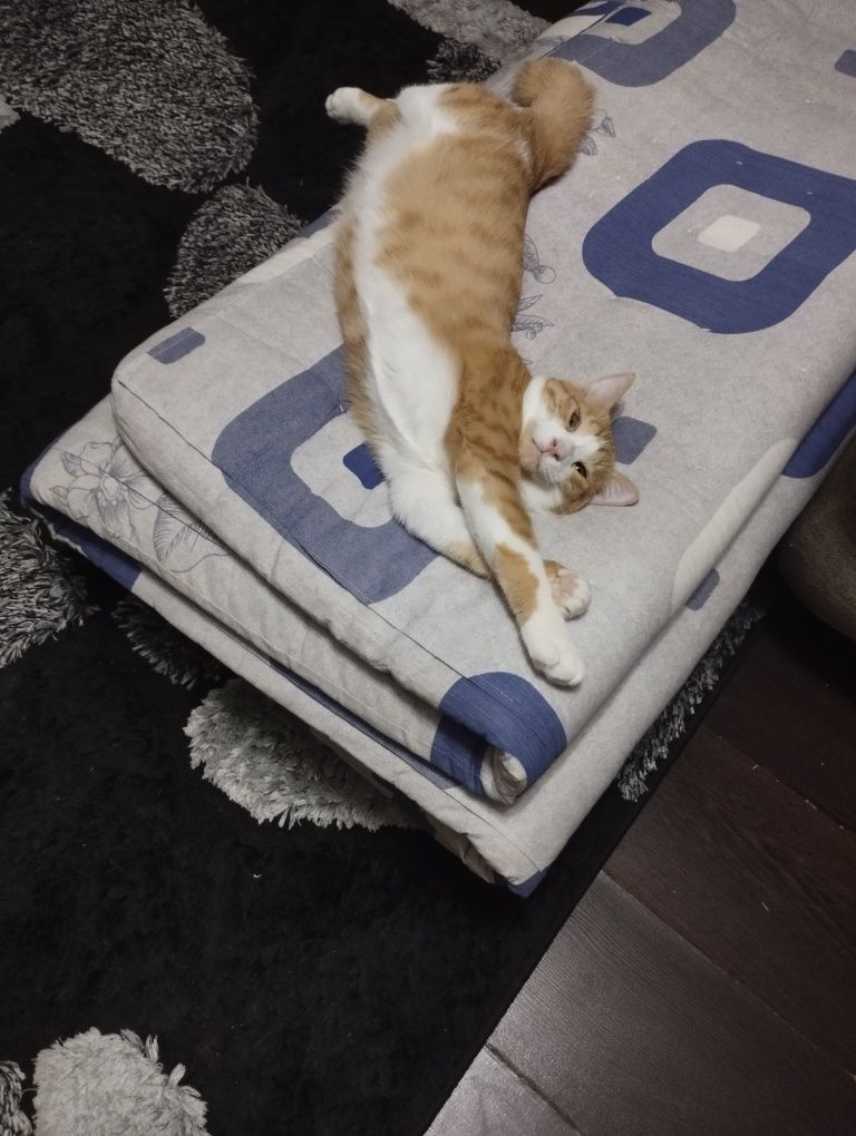 Отдам в хорошие руки