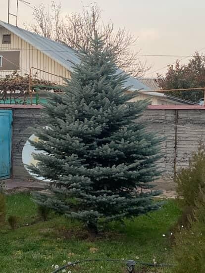 Продам срочно в связи с переездом