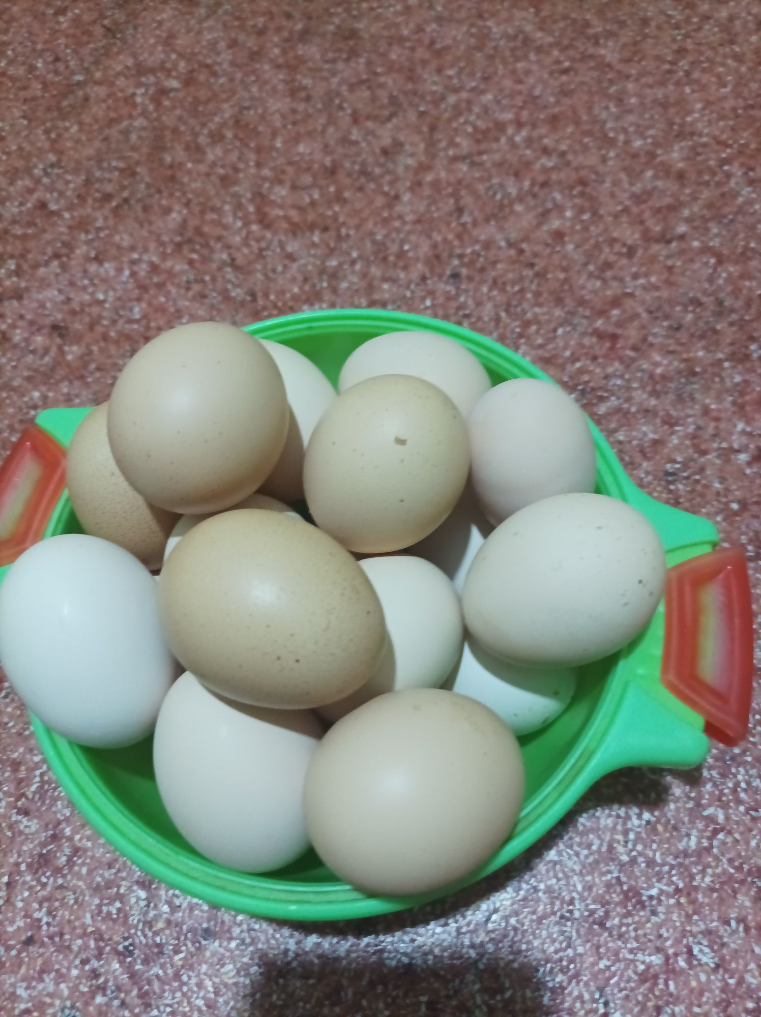 Продаётся домашние куриные яйца
