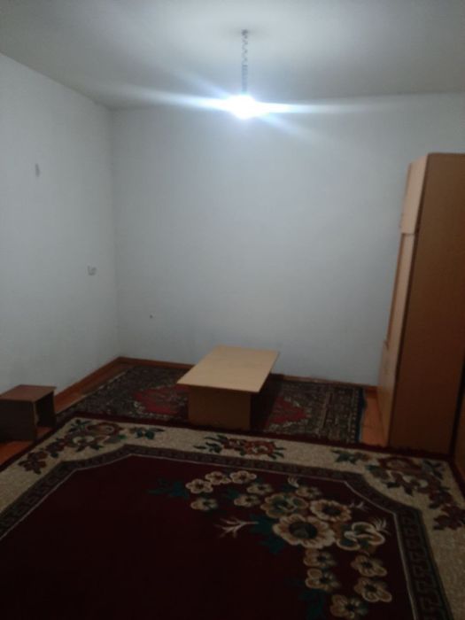 Ттз. Алиса.  Кафе