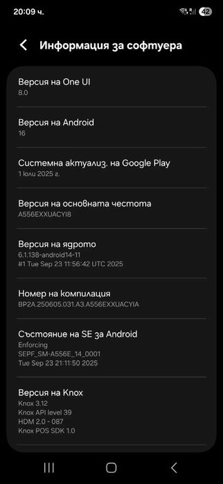 Samsung Galaxy A55 5G 128Gb