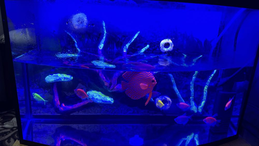 Продам аквариум с рыбками