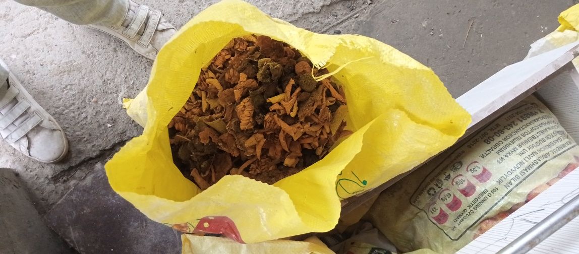 Mol uchun ut sorgo beda maysa