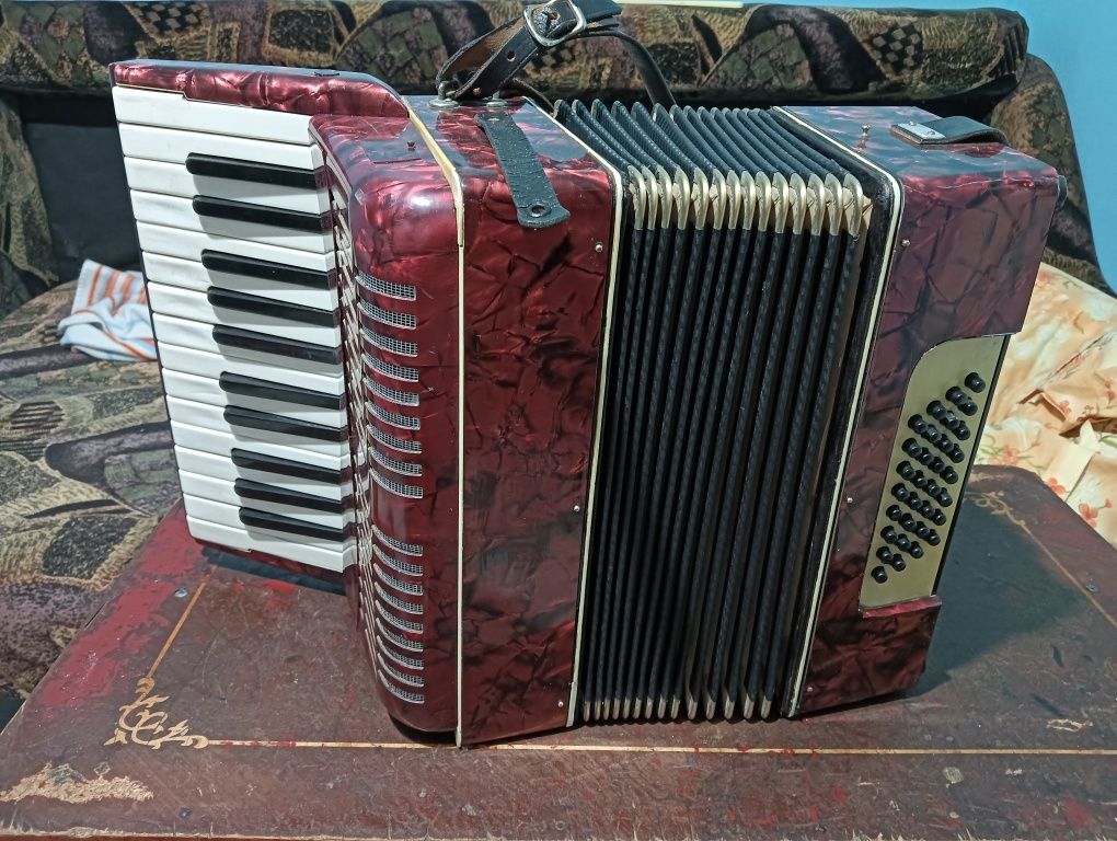 acordeon Vel maestrul