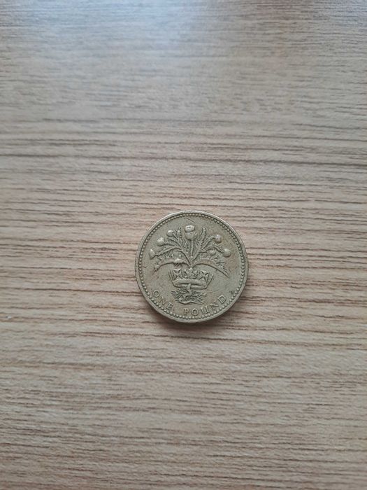 Moneda 1984 Regina Elizabeth one pound