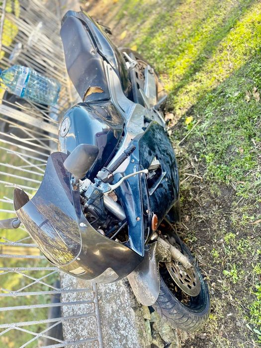 Yamaxa Genesis нов внос от германия