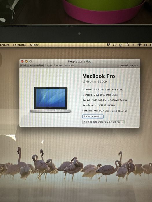 Apple MacBook Pro Mid 2009 13 inch + incarcator original