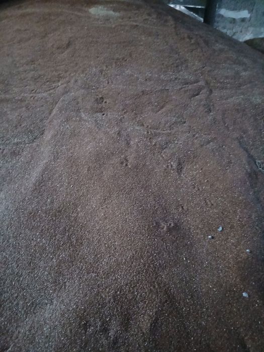 Продам лён сухой после очистки