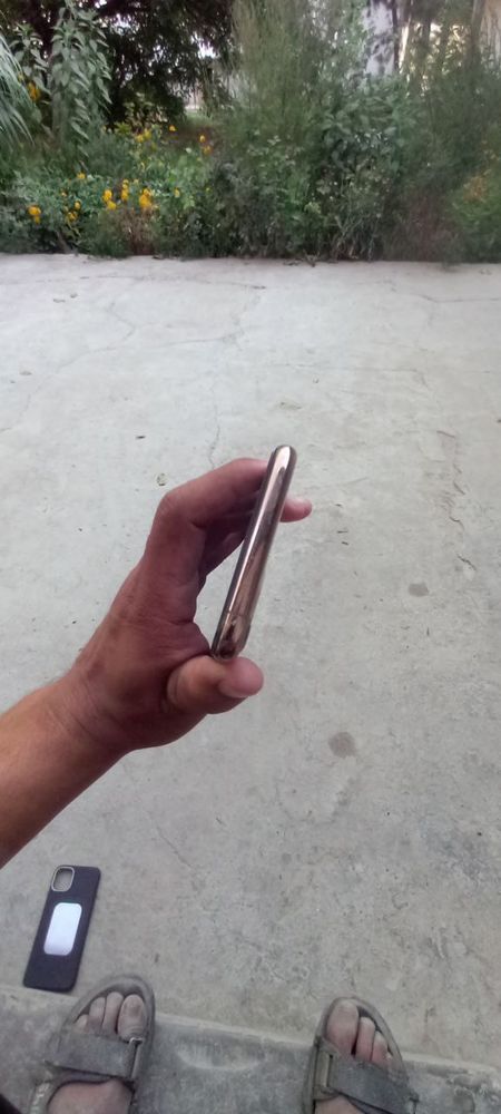 iphon11pro max gold