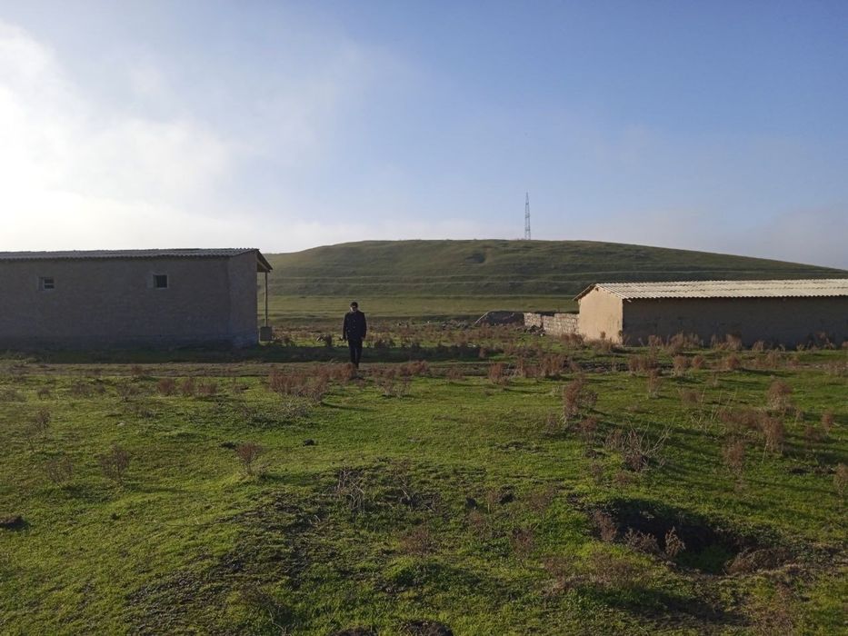Ferma, qo’ra, molxona. Qo’yxona