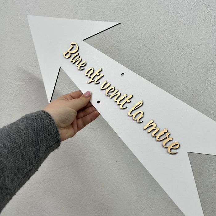 Manechine si accesorii  de inchiriat