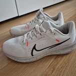 Nike Pegasus.           .