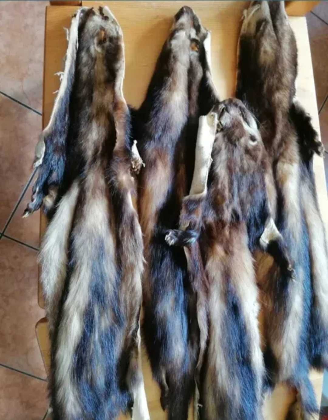 Blanuri jder arghesite