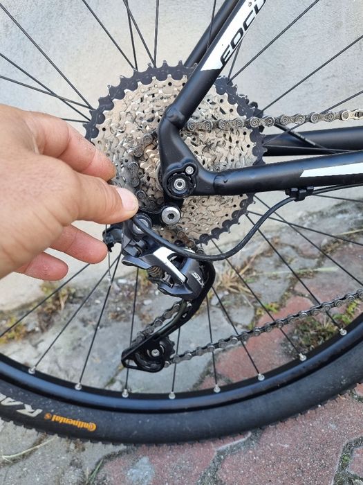 Focus black forest 29"