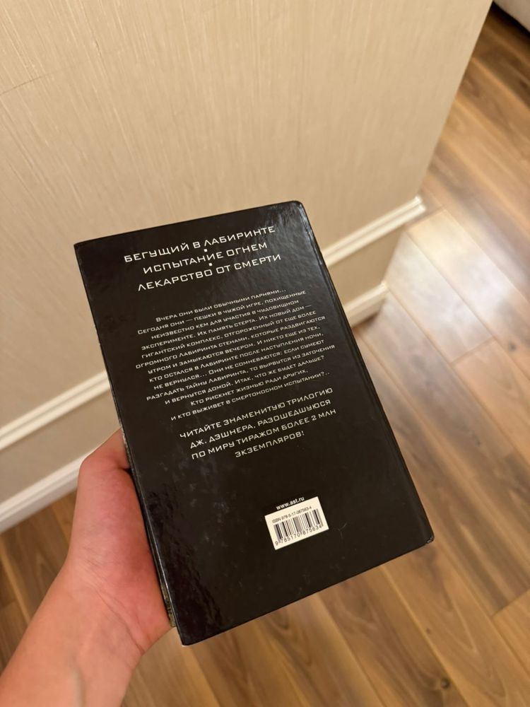 Книга Бегущий в Лабиринте