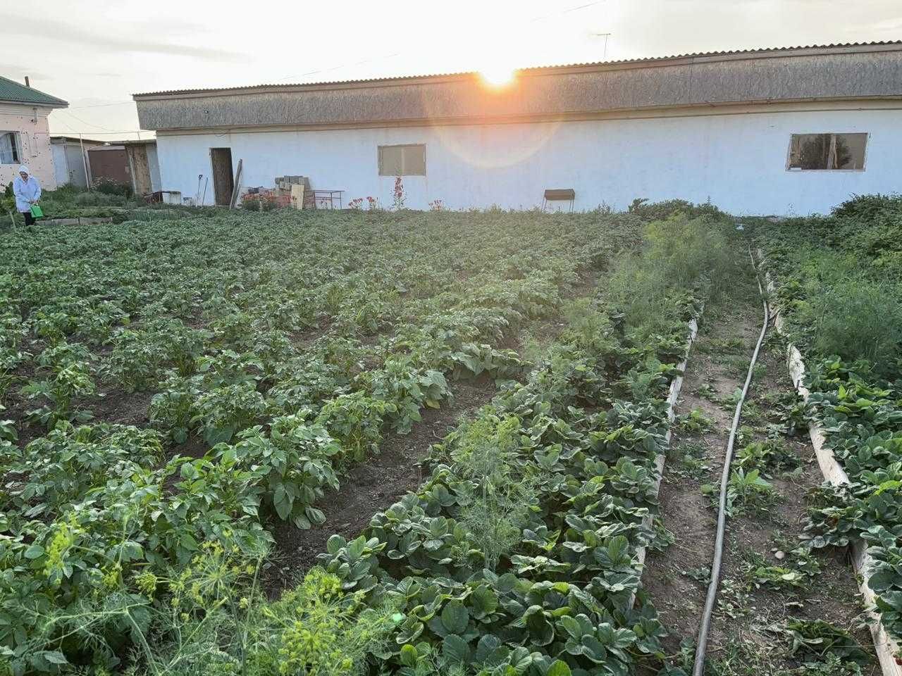 Продам или обменяю благоустроенный дом в пригороде Астаны