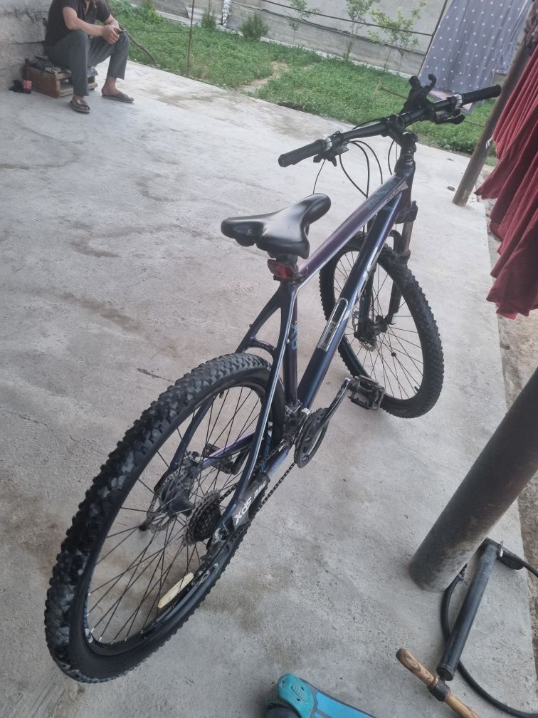Xds510.         .