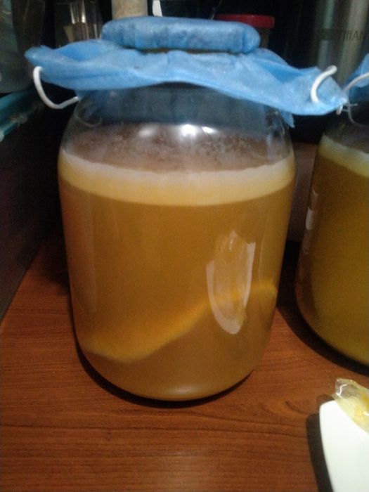 Продам яблочную уксусную матку