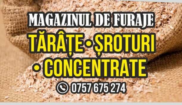 Șrot de floarea soarelui