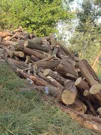 De vzare lemne de foc or ce eseta mai multe detalii an privat