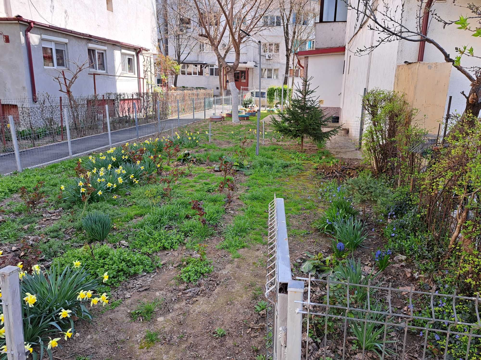 Vanzare  apartament   parter  in  cu  2  camere  si   balcon  extins