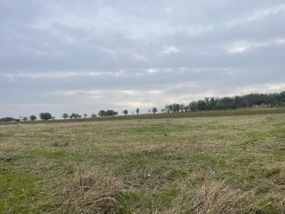 Casa veche + teren 3600m2 langa balta eligibila pentru Fonduri Europen