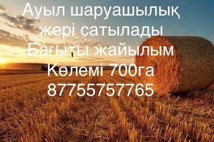 Жайылым шабындық жер