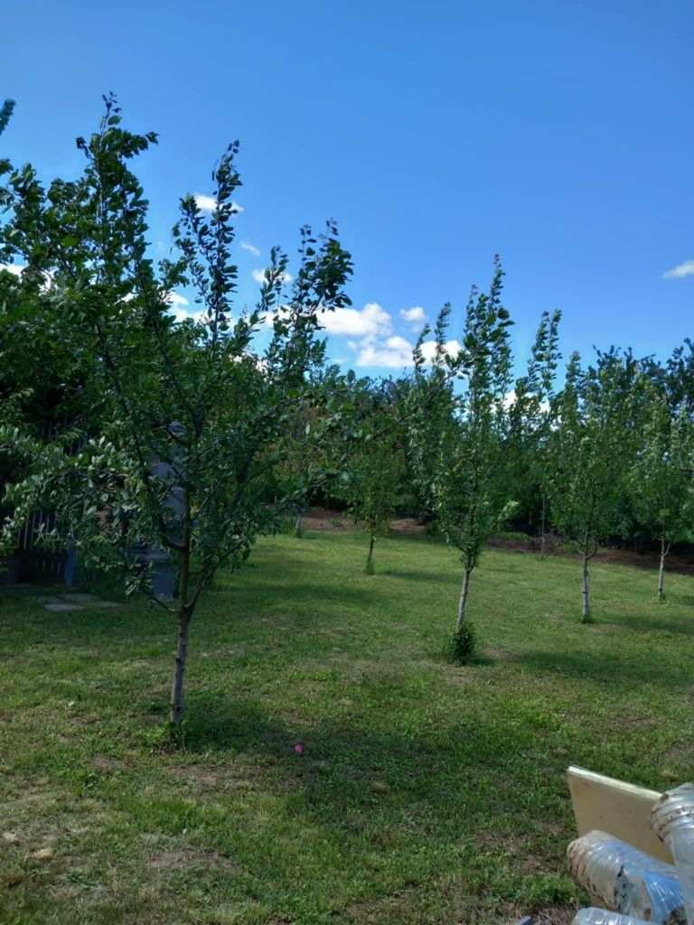 Продава се Парцел в Варна, Бизнес парк Варна - 1 кв.м за 28050 €/кв.м - Снимка #7