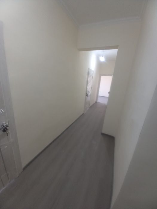 Motrid ijaraga beriladi