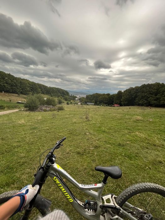 Specialized demo 8
