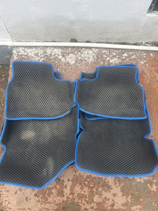 Ева полики Калинина гранта