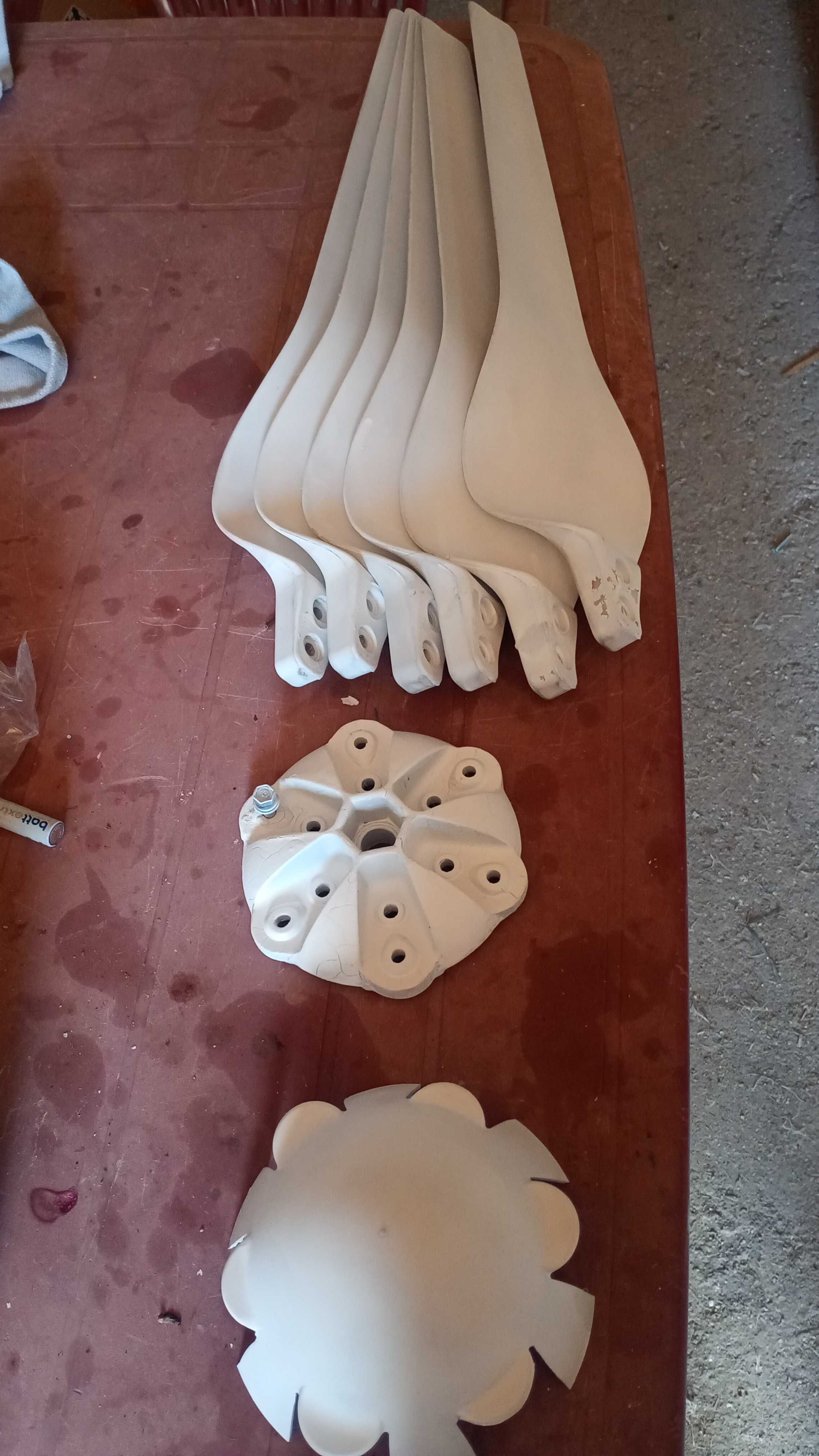 Eoliana  Set  6 pale complecte